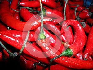 Hot Red chillies are Soo Spicy
