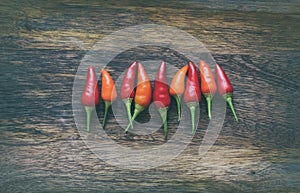 Hot red pepper mini chili pods on wooden background, horizontal row of hot vegetables