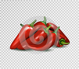 Hot red pepper on transparent background. Jalapeno groupe. Quality realistic vector, 3d illustration.