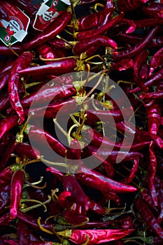 Hot red peppers hanging on the wall