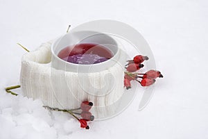 Hot red tea in the snow, cup with scarf and rose hips, white snowy background with copy space, hot drink against flu