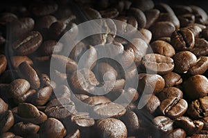 Hot roasted coffee beans