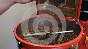 Hot roasted coffee beans are poured from drum of roasting machine. Coffee steam