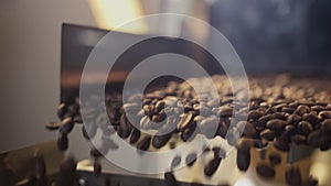 Hot roasted coffee beans are poured from drum of roasting machine. Coffee steam. Slow-motion.