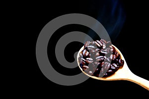 Hot roasted coffee beans in wood spoon from the coffee roasting machine isolate on black background