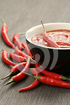 Hot salsa mexicana photo