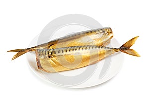 Hot smoked mackerel on plate