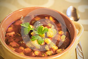 Hot soup (Goulash) with vegetables