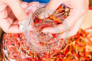 Hot and spicy Red Chilli on hand,Dried red chili,Pepper,Chillies as background for sale in a local food market,thai food ,close up