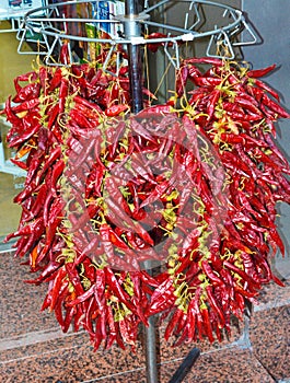 Hot spicy traditional chilli pepper paprika hanging in bunch for sale Budapest
