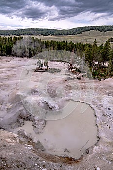 Hot spring and geiser in yellowstone national par