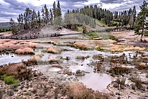 Hot spring and geiser in yellowstone national par photo