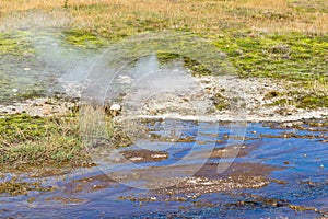 Hot spring in Haukadalur geyser valley