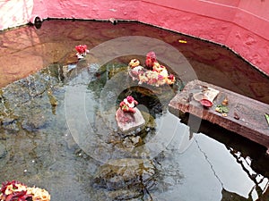 Hot spring in India named Taptapani