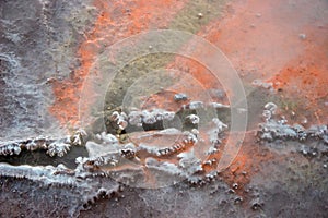 Hot spring orange background