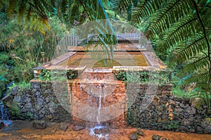 Hot spring pool at parque dona beija photo