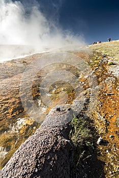 Hot Spring tributary to the Firehole River Yellowstone