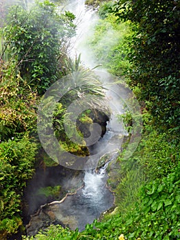 Hot spring at Waikite valley New Zealand