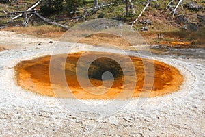 Hot Spring In Yellowstone