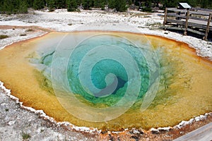 Hot Spring at Yellowstone National Park photo