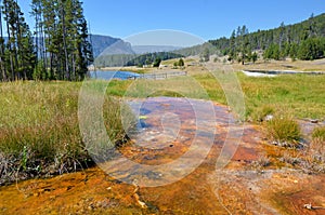 Hot spring in Yellowstone, Wyoming