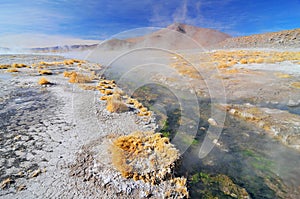 Hot springs in the Atacama desert, Bolivia.