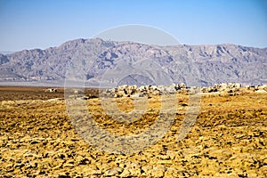 Hot springs in Dallol, Danakil Desert, Ethiopia