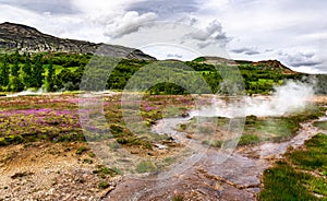 Hot springs in Haukadalur geothermal area along the golden circle, Iceland