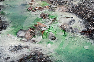 Hot springs in Japan coming out from the ground