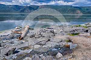 Hot springs on Lake Bogoria