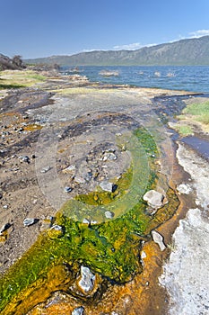 Hot Springs at Lake Bogoria, Kenya