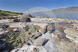 Hot springs at Lake Bogoria in Kenya