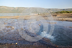 Hot springs at Lake Bogoria in Kenya.