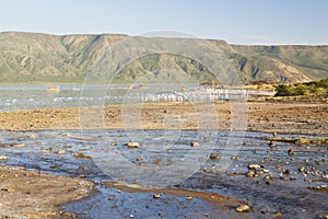 Hot springs at Lake Bogoria in Kenya.