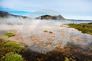 Hot springs next the sea, Iceland.