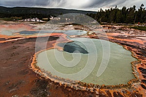 Hot Springs Pool - Upper Geyser Basin of Yellowstone National Park.