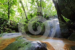 Hot springs and sulfur pools in Dominica photo