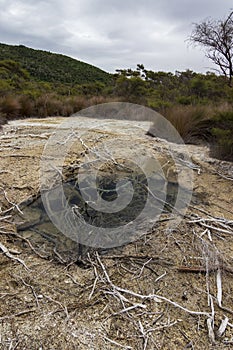 Hot springs at Turangi in New Zealand