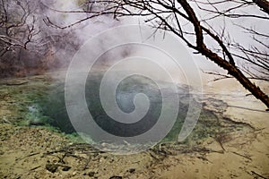 Hot springs at Turangi in New Zealand