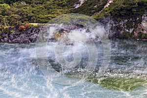 Hot springs at Waimangu geothermal park.