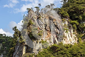Hot springs at Waimangu geothermal park.