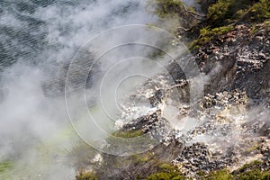 Hot springs at Waimangu geothermal park.