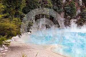 Hot springs at Waimangu geothermal park.