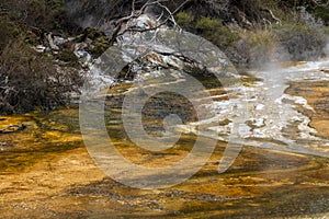 Hot springs at Waimangu geothermal park.