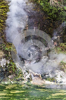 Hot springs at Waimangu geothermal park.