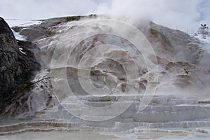 Hot springs, Yellowstone National Park, Montana