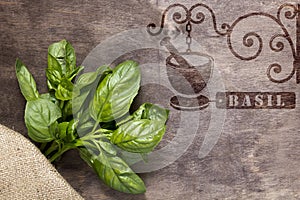 Hot stamp imprint for spices - basil