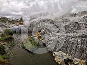 Hot steam from Pohutu geyser at Whakarewarewa geothermal area on the North Island of New Zealand