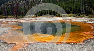 Hot steam rising off Emerald Pool hot spring in the Black Sand Geyser Basin in Yellowstone National Park in Wyoming USA