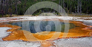Hot steam rising off Emerald Pool hot spring in the Black Sand Geyser Basin in Yellowstone National Park in Wyoming USA